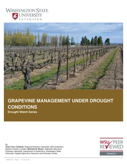 Picture of Grapevine Management Under Drought Conditions