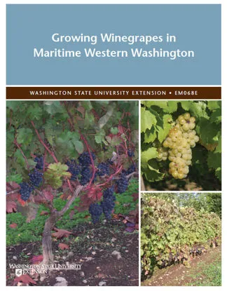 Picture of Growing Winegrapes in Maritime Western Washington