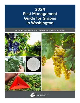 Picture of 2024 Pest Management Guide for Grapes in Washington