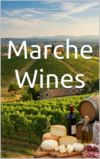 Picture of Marche Wines