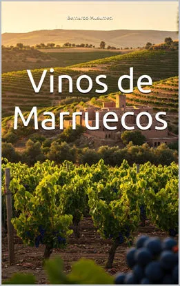 Picture of Vinos de Marruecos