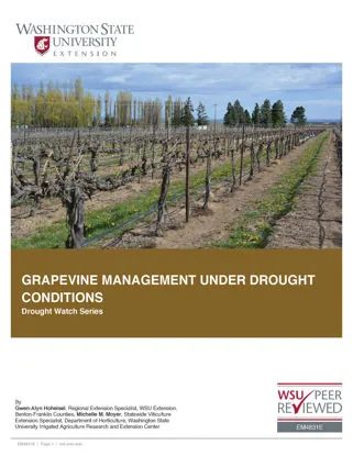 a book about Grapevine Management Under Drought Conditions