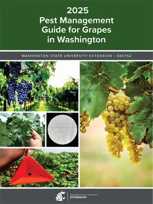 2025 Pest Management Guide for Grapes in Washington